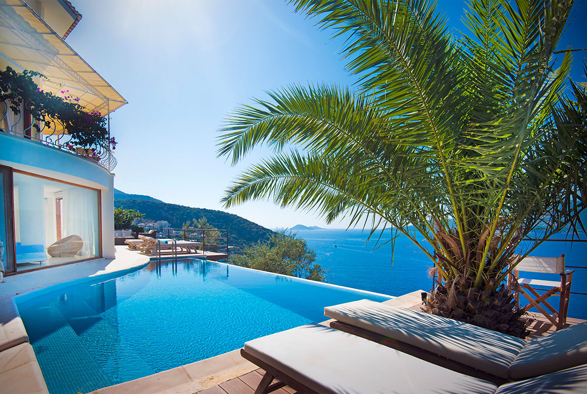 A pool with a view of the ocean and palm trees.