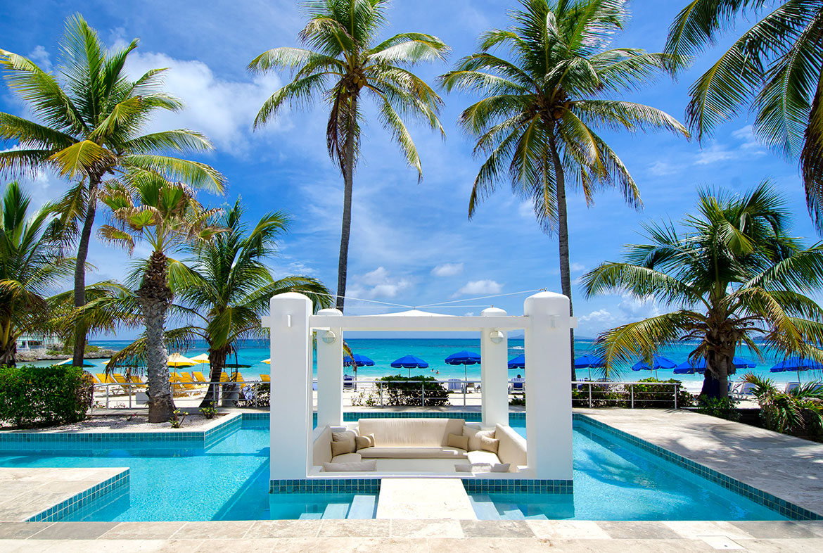 A pool with a bench and palm trees in the background.